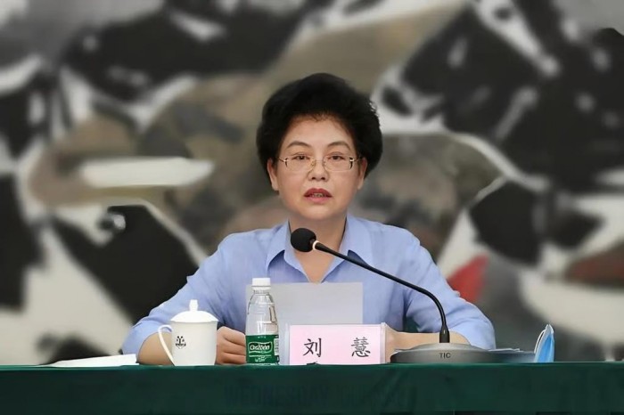 류후이 전 닝샤후이주 자치구 주석.jpg