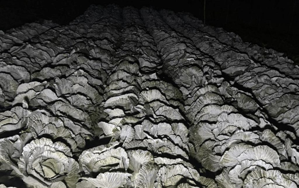 화면 캡처 2026-01-09 173603.jpg