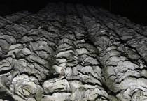 화면 캡처 2026-01-09 173603.jpg