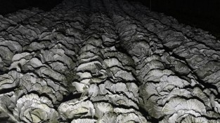 화면 캡처 2026-01-09 173603.jpg