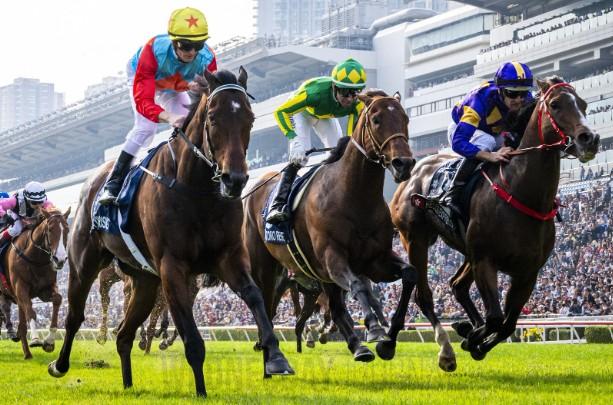 경마 관광 상품 추진.jpg