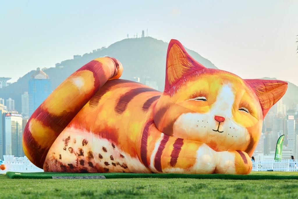 거대한 풍선 고양이가 서구룡문화지구에 등장.jpeg