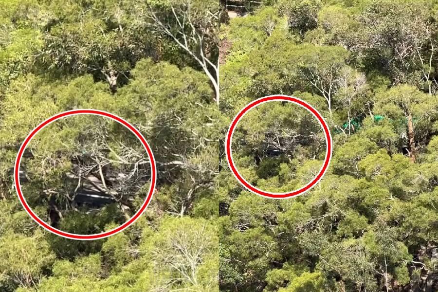 정관오 ‘비밀의 화원’ 언덕, 광장무·가라오케 소음으로 주민 고통.jpg