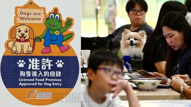 홍콩수요저널_홍콩 시민들 ‘반려견 동반 식당’ 적극 지지.jpeg