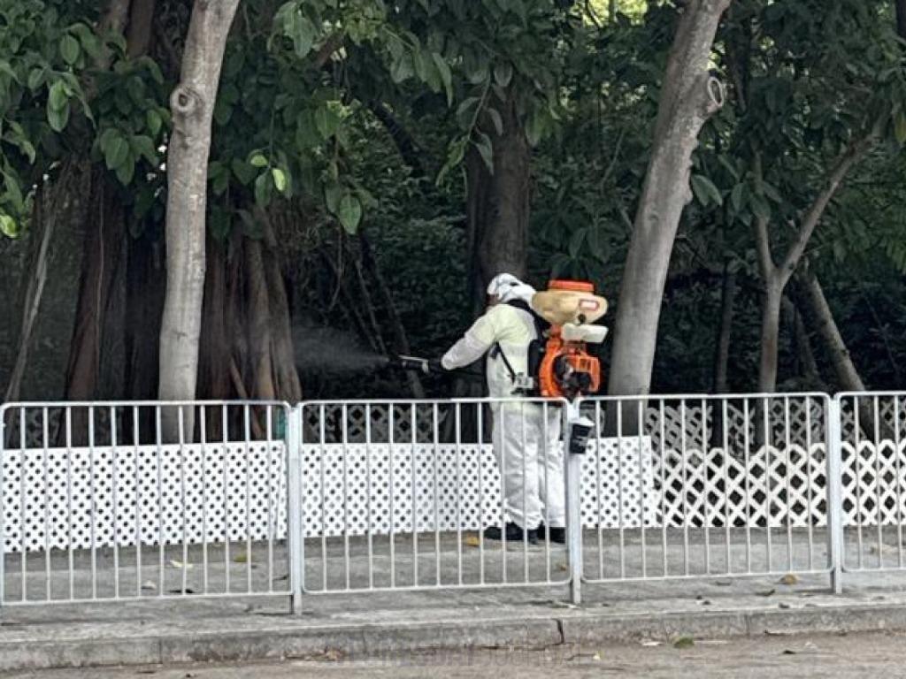 홍콩 4개 지역 모기 주의보… 소관왓 '3단계 경계' 수준으로 급상승.jpg