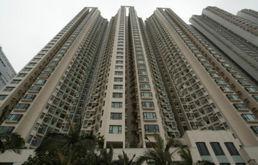 두 살·세 살 형제를 개장에 가둔 인도네시아 가정부 체포.jpg