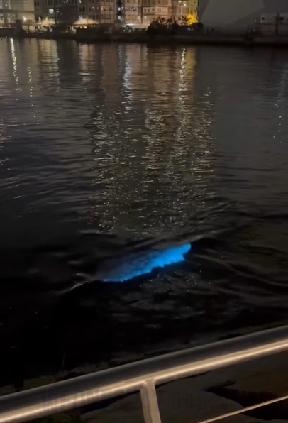 videoframe_6266.png