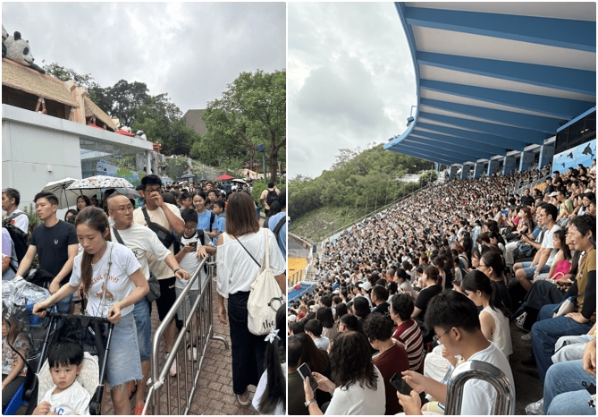 지난 주말 오션파크 인파 폭발로 전성기 시절 회상.jpg