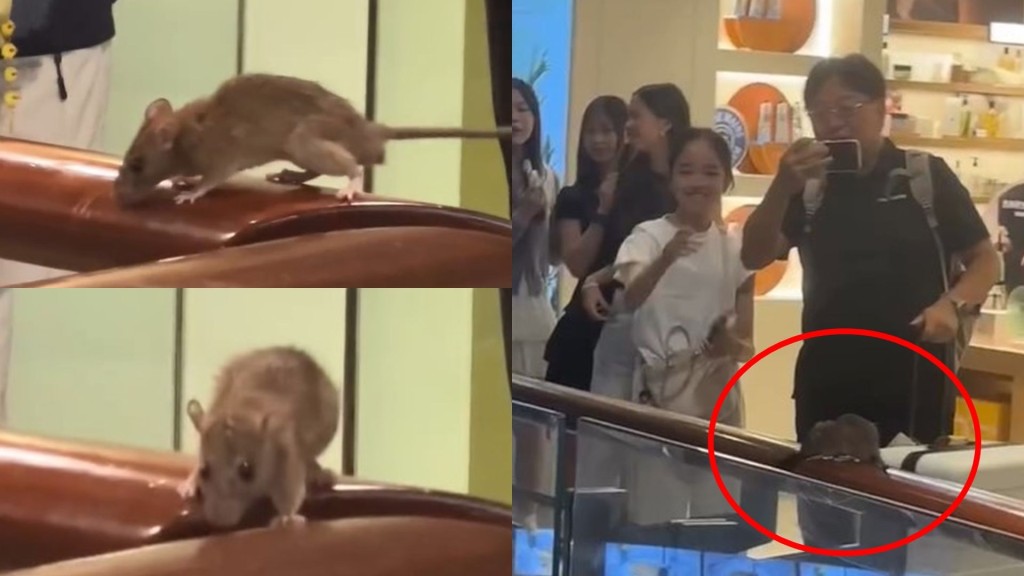 몽콕 랑함플레이스 쇼핑몰, 쥐 출몰로 법적 통지서 받아….jpg