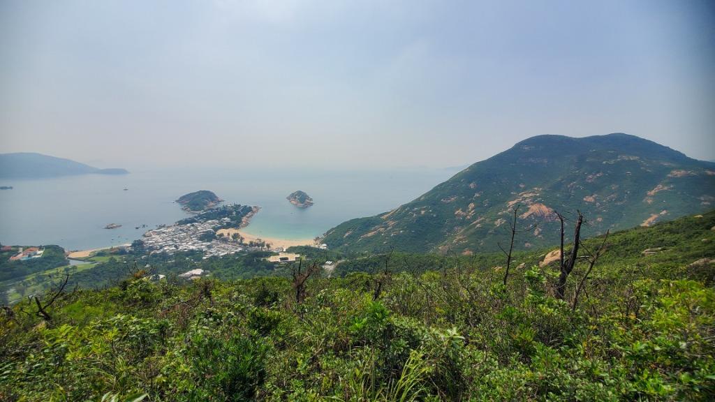20260808_102555.jpg