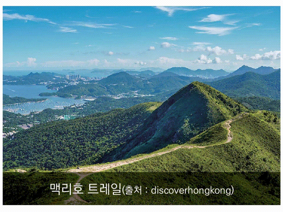 현지인처럼 홍콩 생활 즐기기(2) 연중 - [이승권 원장의 생활칼럼]