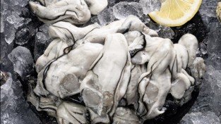 [홍콩뉴스] 홍콩 식품안전센터, 한국 '서준물산' 생굴 수입 및 판매 전면 중단 지시