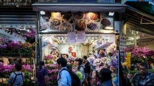 홍콩 꽃집, 겹친 명절에 발렌타인데이 주문 '반토막'