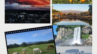 오경수 작가 홍콩 전시회(2025구스타프 클림트 사진전 수상)