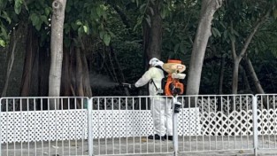 [홍콩뉴스] 홍콩 4개 지역 모기 주의보… 소관왓 '3단계 경계' 수준으로 급상승