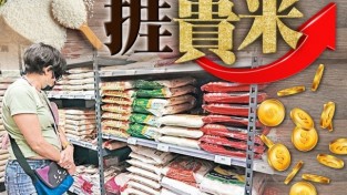 수요저널 땅콩뉴스 2023-8-4 (금)