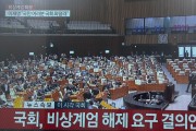 '비상계엄 해제요구 결의안' 본회의 가결…"계엄선포 무효"