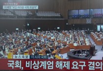 '비상계엄 해제요구 결의안' 본회의 가결…"계엄선포 무효"
