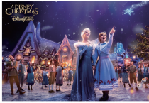 [이승권 원장의 생활칼럼] 홍콩에서의 크리스마스, 이곳은 어떨까?