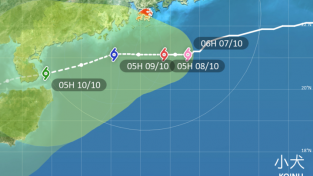 수요저널 땅콩뉴스 2023-10-7 (토)