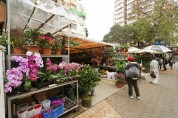 몽콕 꽃시장에 42층 빌딩 및 공원 건설 발표