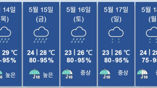 [홍콩날씨] "오늘부터 일주일 내내 비" 홍콩에 쏟아지는 폭우·천둥번개 주의보