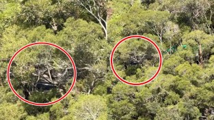 [홍콩뉴스] 정관오 ‘비밀의 화원’ 언덕, 광장무·가라오케 소음으로 주민 고통