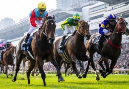 [홍콩뉴스] 홍콩 관광업계, 설 황금연휴 흥행 이어갈 '경마 투어' 제안