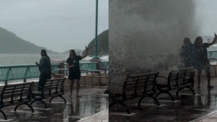 크리스 탕 안보장관, 태풍 추적자에 '무관용 원칙' 재확인