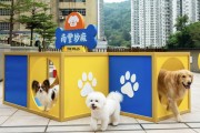 [홍콩뉴스] 반려동물 공원의 비극… 반려견, 췬완 '더 밀스' 옥상서 추락사
