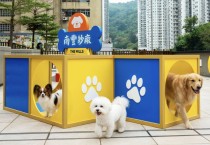 [홍콩뉴스] 반려동물 공원의 비극… 반려견, 췬완 '더 밀스' 옥상서 추락사