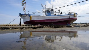 홍콩 항공사, 日소도시 2곳 운항 중단키로…"대지진설 영향"