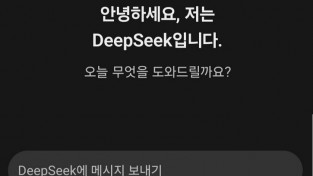 각국서 딥시크 금지?…"앱은 제한되더라도 오픈소스는 그대로"